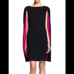 Adrianna Papell Cape Sheath Dress Size 8 black and pink